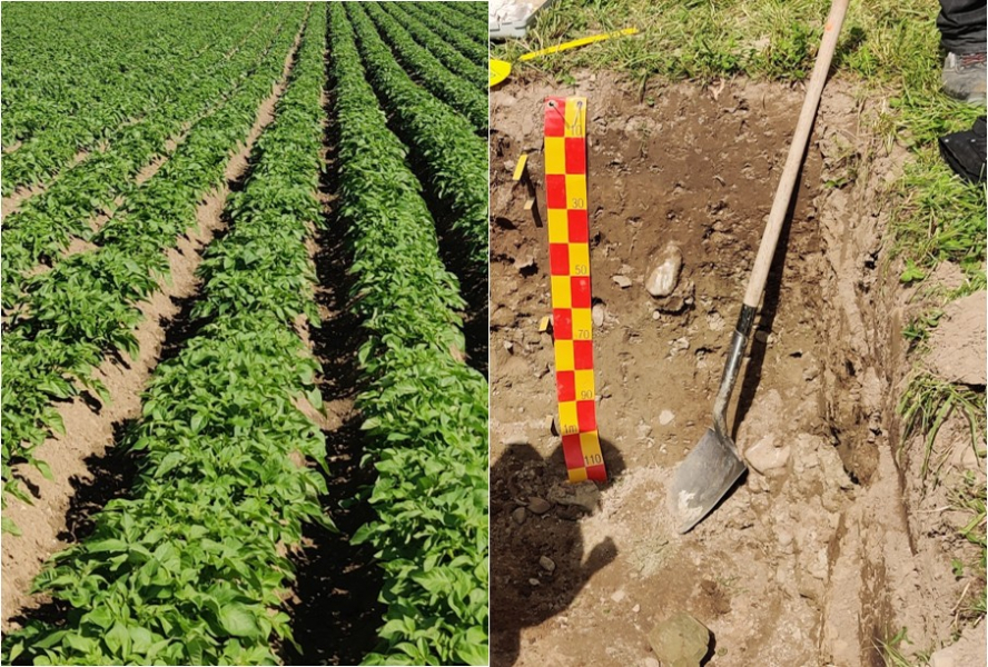 Flurbegehung_Pdt_sol